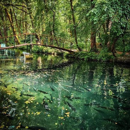 Янтарная Форель Bustyaháza Kültér fotó
